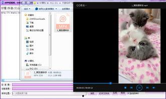 吃瓜爆料快手视频下载免费,吃瓜爆料快手视频免费下载攻略
