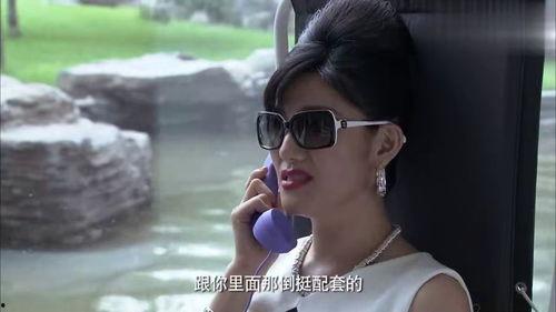 明星网红黄金,璀璨星光下的商业传奇