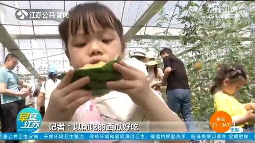 南京小莹娃吃瓜爆料,揭秘娱乐圈幕后真相