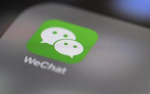 昆明微信吃瓜爆料群,揭秘城市生活幕后故事