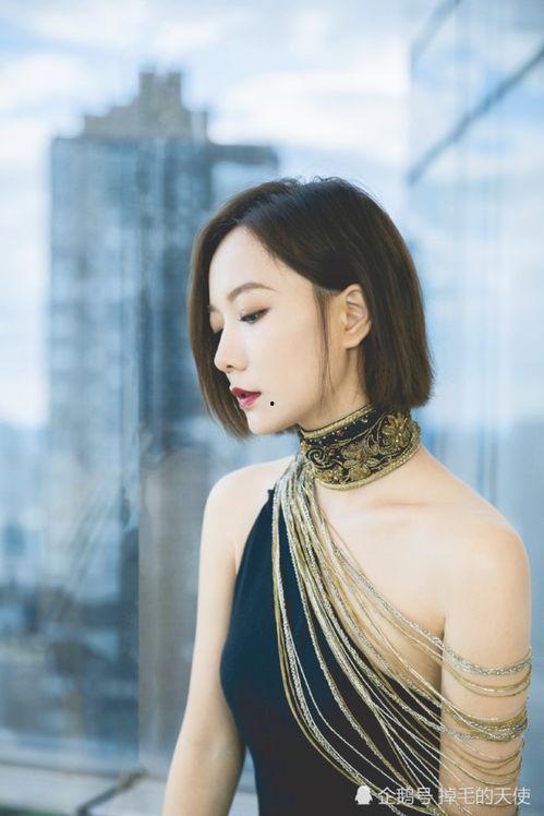 明星网红围裙,时尚与实用的完美结合
