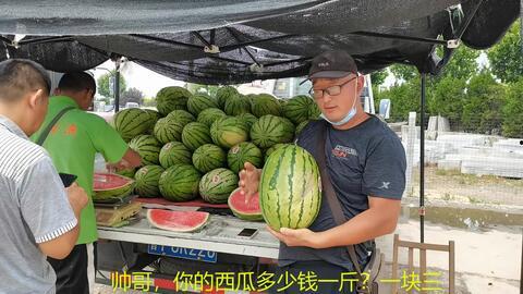 14分钟吃瓜爆料,揭秘娱乐圈惊人内幕