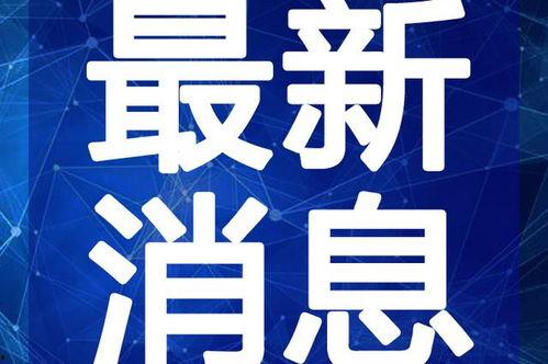 五一最新吃瓜爆料视频下载,最新爆料视频深度解析