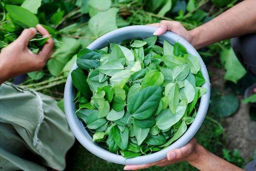 国产草吃瓜黑料在线,黑料背后的真相与反思