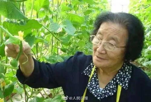 qq瓜瓜大爆料合集吃瓜,娱乐圈幕后真相大揭秘