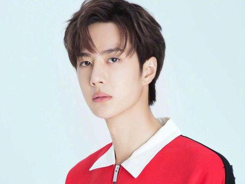 庄河明星网红,明星级影响力人物盘点