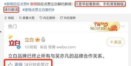 吃瓜福利爆料最新版,揭秘娱乐圈幕后真相，独家爆料等你来探
