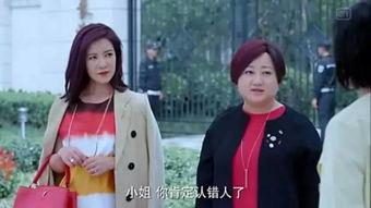 娱乐圈吃瓜小花小说,揭秘那些年我们吃过的瓜，小花们的爱恨情仇